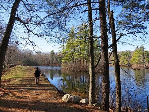 Cook's Pond